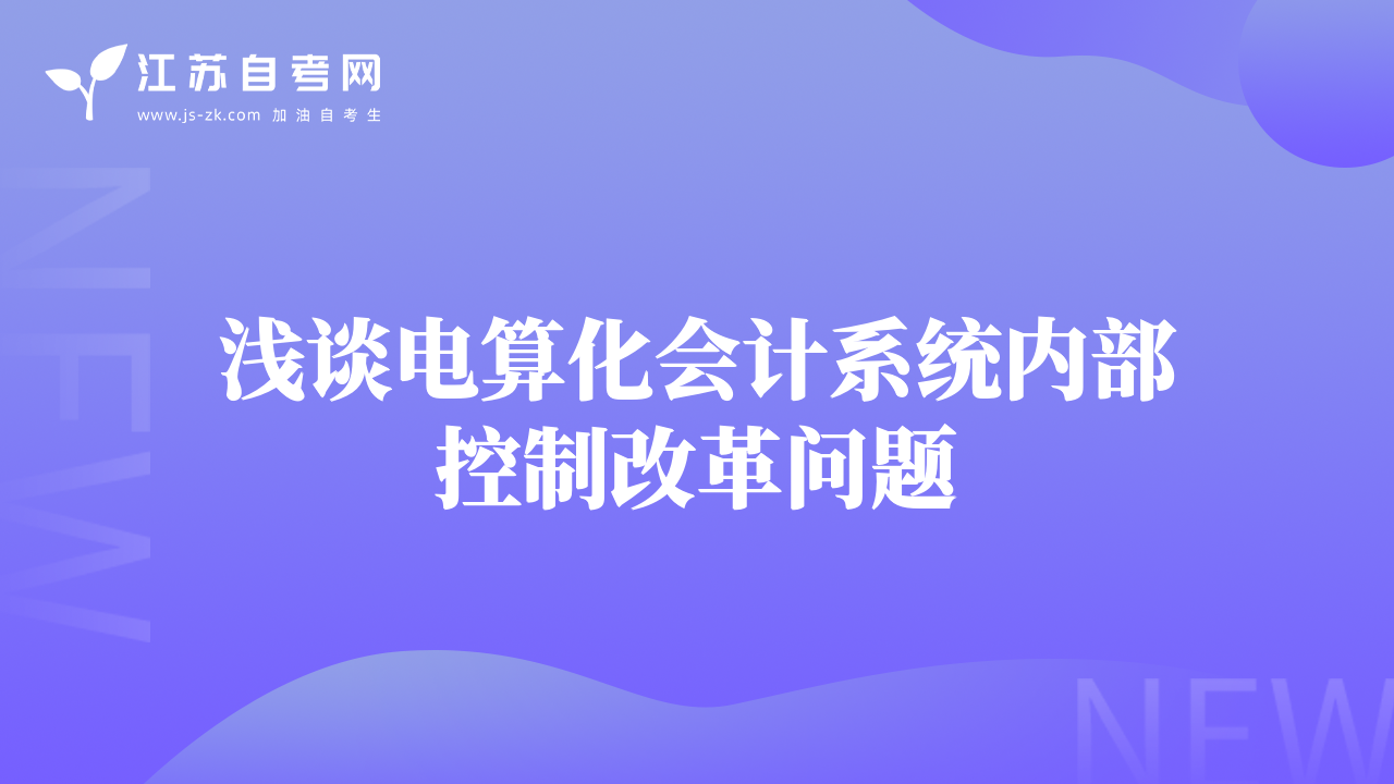 淺談電算化會(huì)計(jì)系統(tǒng)內(nèi)部控制改革問(wèn)題