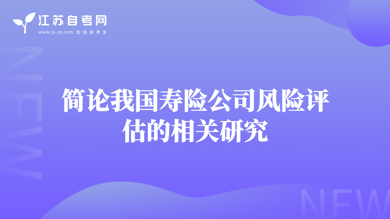 簡論我國壽險公司風(fēng)險評估的相關(guān)研究