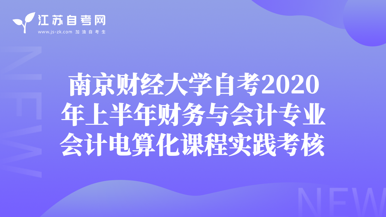 南京財經(jīng)大學自考2020年上半年財務與會計專業(yè)會計電算化課程實踐考核