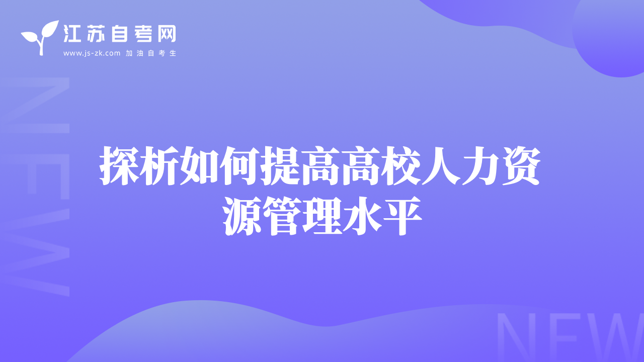 探析如何提高高校人力資源管理水平
